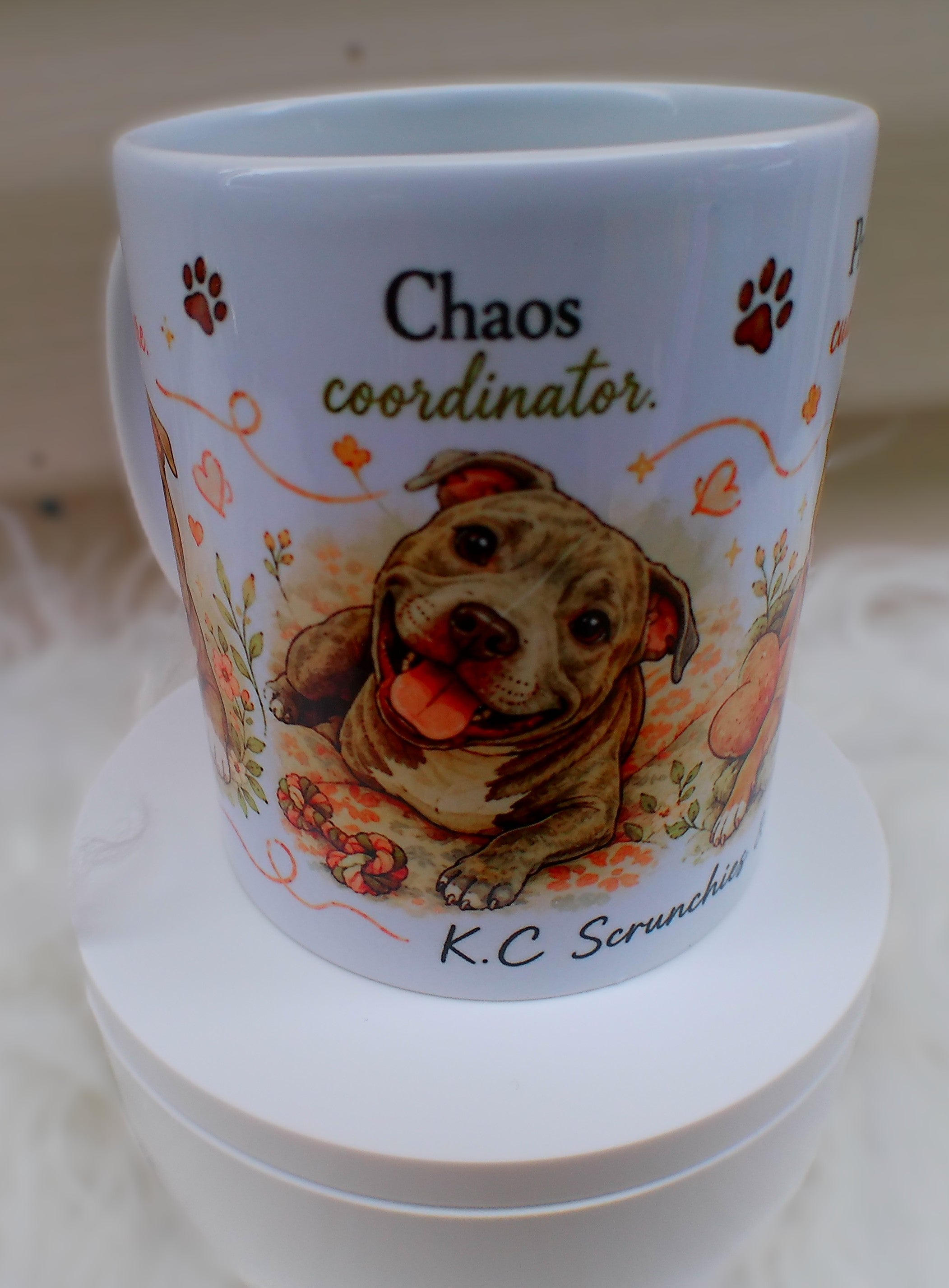Professional Cuddle Expert — Dog Lover Sublimation Mug