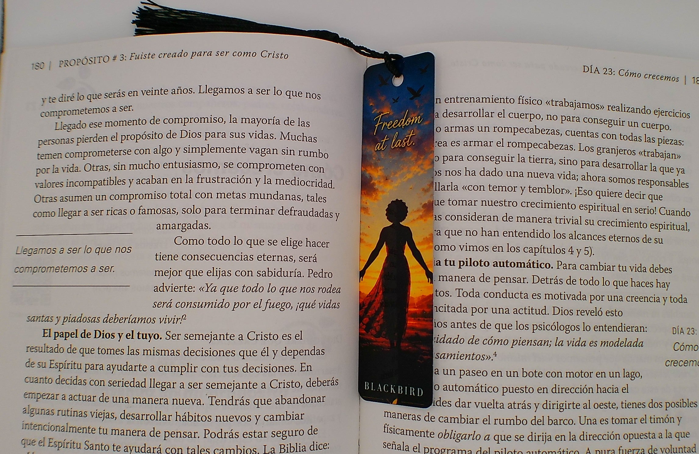 Blackbird — Freedom at Last Bookmark