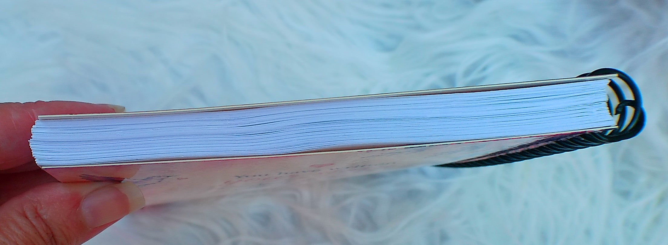 8-Week Planner & Daily Journal