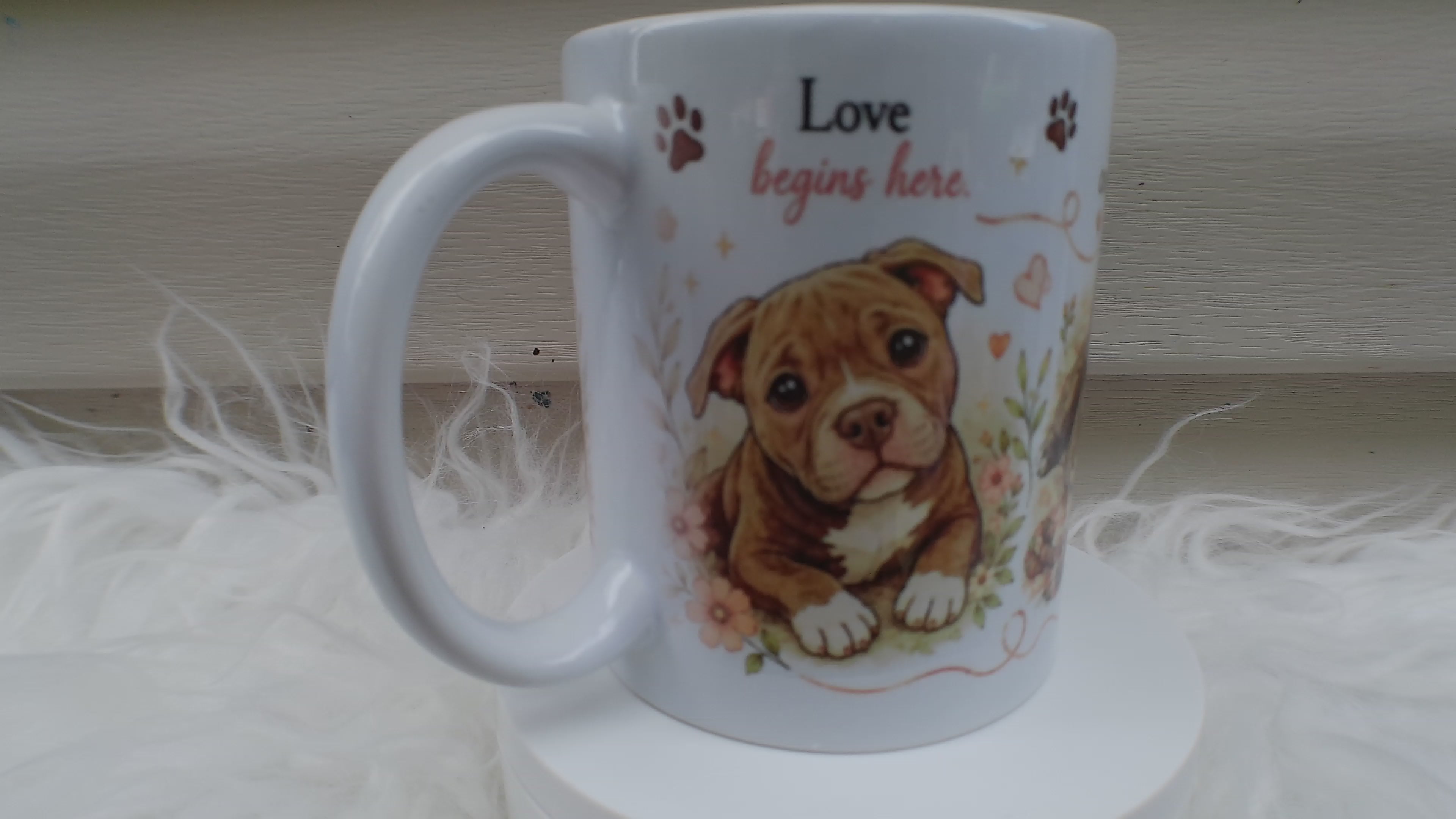 Professional Cuddle Expert — Dog Lover Sublimation Mug